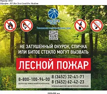 Лесной пожар